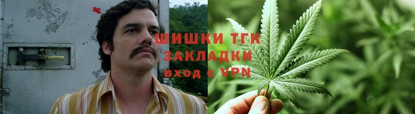 mdpv Горно-Алтайск