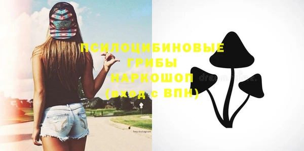 хмурый Горнозаводск