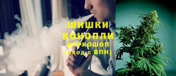 прущие грибы Вязьма